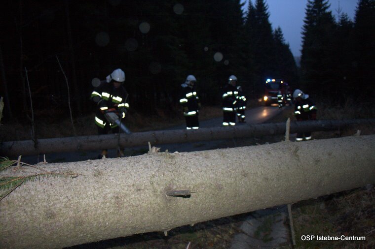 Strażacy usuwają powalone drzewa